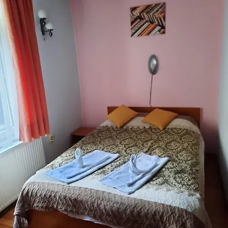 Hotel Pensiunea Paco