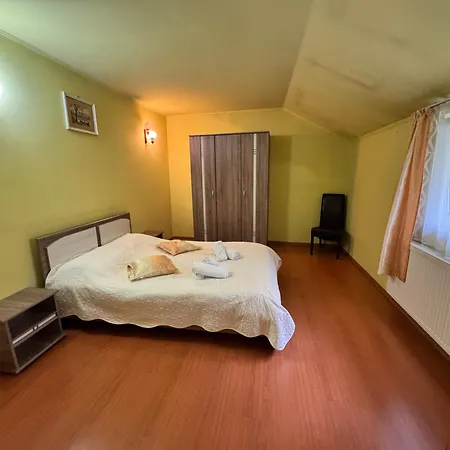 Pensiunea Paco Hotel