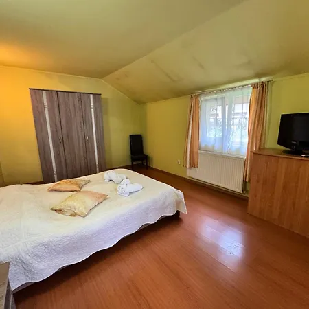 Hotel Pensiunea Paco Kluż-Napoka