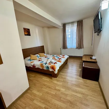 Pensiunea Paco Hotel 3*