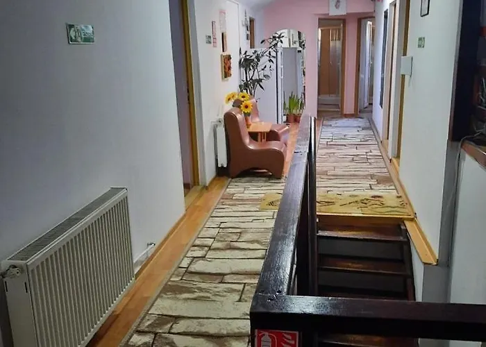 Pensiunea Paco 3* Cluj-Napoca