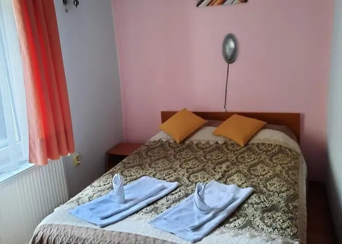 Pensiunea Paco Hotel 3*