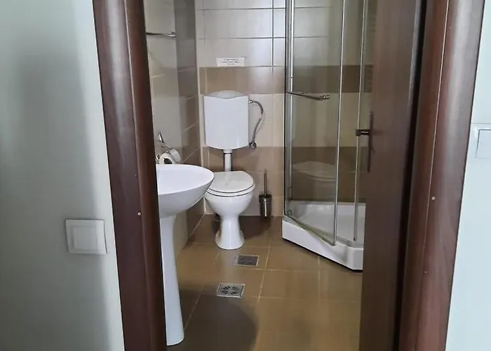 Hotel Pensiunea Paco