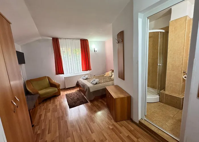 Pensiunea Paco Cluj-Napoca