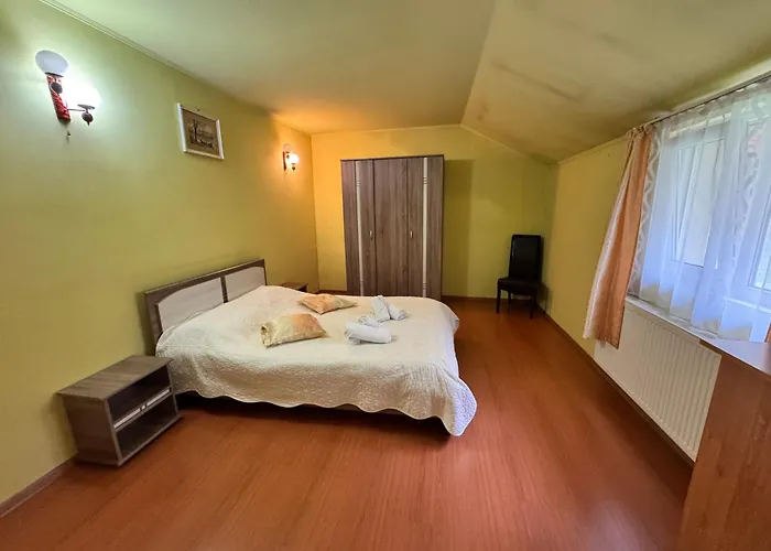 Pensiunea Paco Hotel