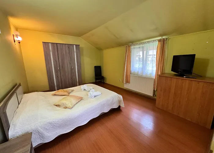 Hotel Pensiunea Paco Cluj-Napoca