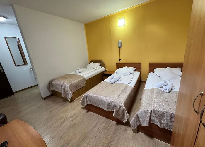 Pensiunea Paco 3* Cluj-Napoca