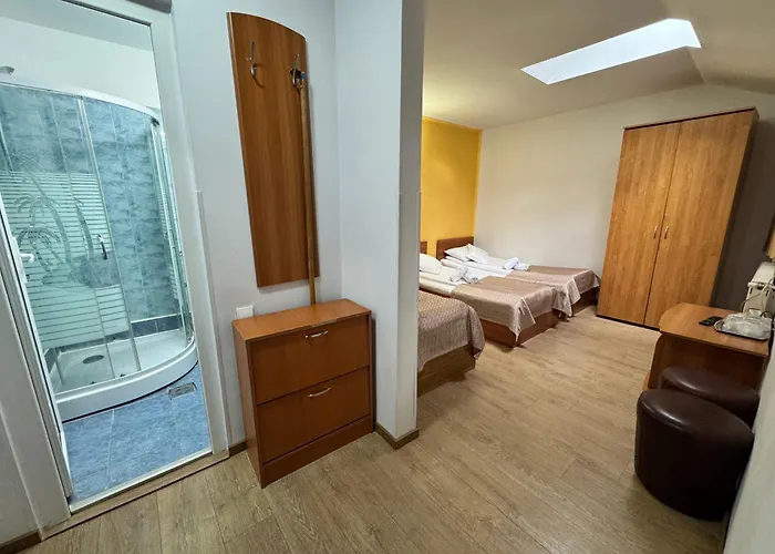 Pensiunea Paco Hotel 3*